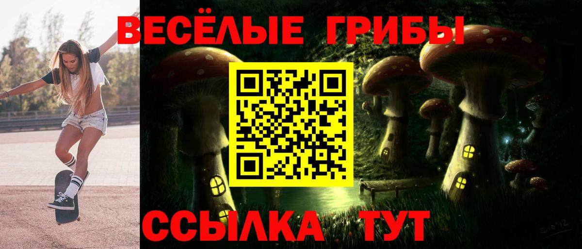 Псилоцибиновые грибы Cubensis Таганрог
